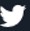 twitter icon